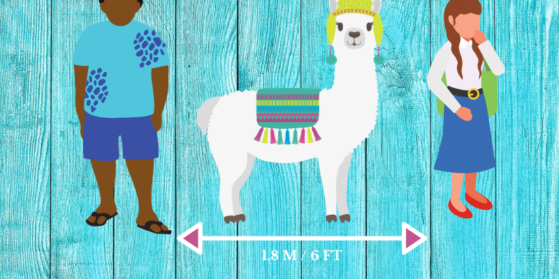 llamapi-social-distancing LlamaPi Social Distancing image